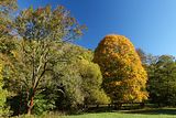 18-10-13 Wandertag Selketal (5)